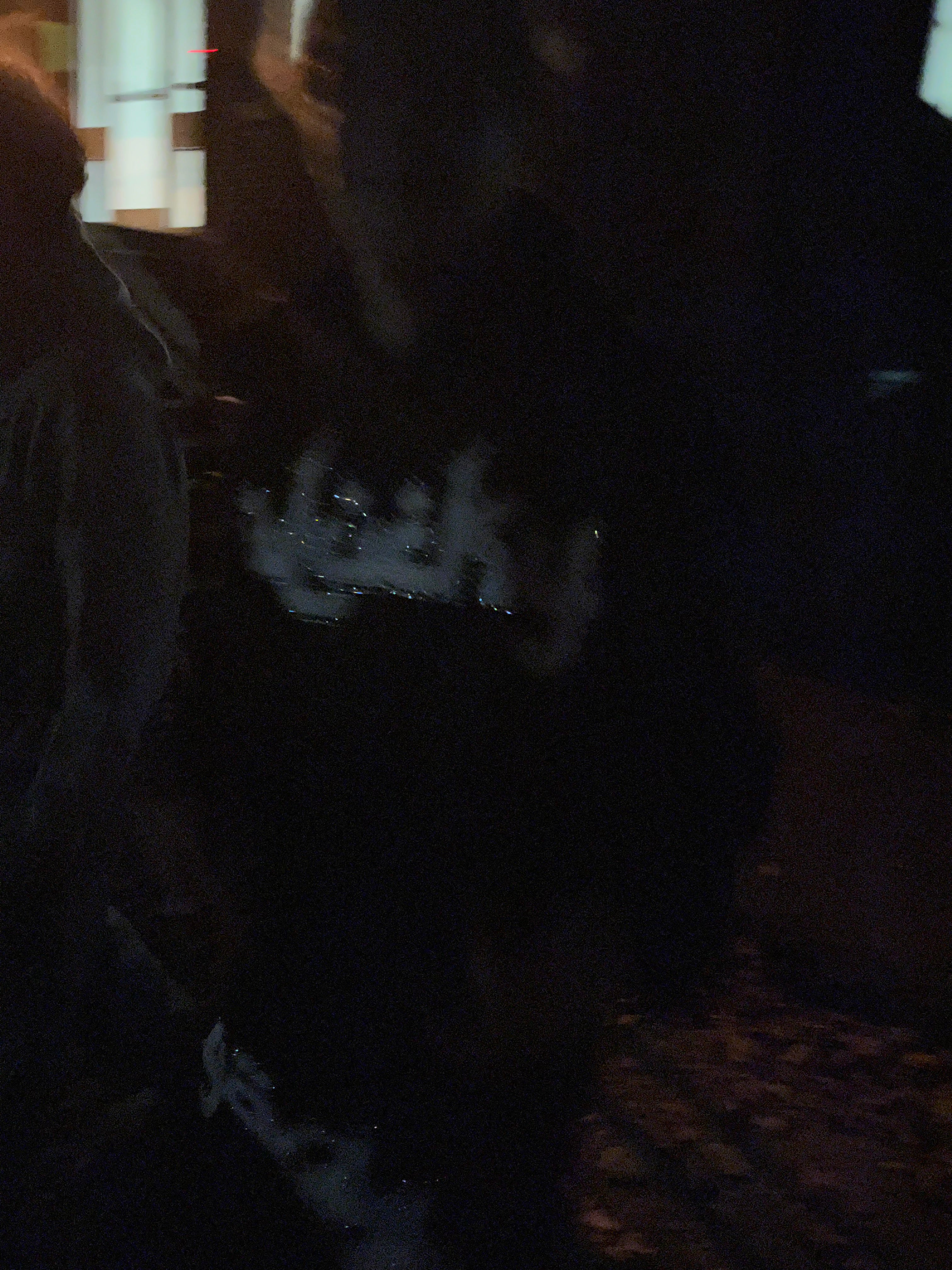 YOUTH ARABIC SWEATSUITS☮️